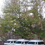 اجاره ون گردشگری