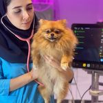 کلینیک دامپزشکی مرکزی(دکتر مریم حیدرلو)