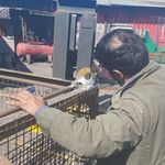 مهندسین مشاور گنجینه ایده آل ایرانیان