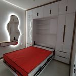 طراح و مجری دکوراسیون داخلی اروین چوب