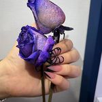 سالن زیبایی کالیستو