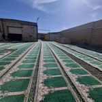 قالیشویی و مبل شویی ادیب (شعبه گیلان)