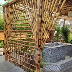 تولید و توزیع گل و گیاه قلب سبز