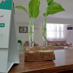 کلینیک روانشناسی حس آرامش