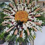 گلفروشی سی تو (ارسال رایگان)