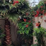 منزل ویلایی  ماه و خورشید