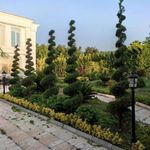 خدمات باغبانی هرس کاری گلکاری سمپاشی
