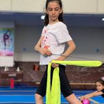خانه ژیمناستیک پاس پویا