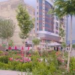 آژانس مسافرتی نیل سیررویایی(قطار نداریم)