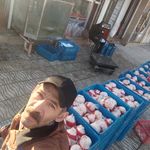 سوپر گوشت زارس