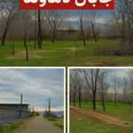 مشاور املاک قاضی اسدالهی