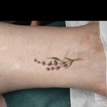 آرایش دائم صورت و تتوی بدن هدی انگورج