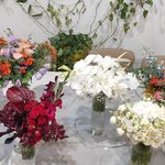 فروشگاه گل و گیاه حس خوب بابل