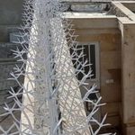 حفاظ شاخ گوزنی آذین حفاظ