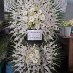 گل فروشی دنیز (آنلاین) -ارسال فوری