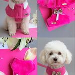 پت شاپ سزار