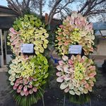 گل فروشی دنیز آنلاین (شعبه 2)