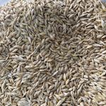 تعاونی نگین سبز زرندیه