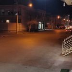 خشکشویی پاکلین