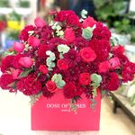 گل فروشی آندیا (شعبه یک)