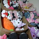 عروسک پولیشی