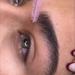 Mana Rahmani Micro