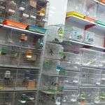 پرنده سرای آشیانه