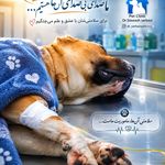 کلینیک حیوانات خانگی دکتر سربازی