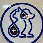 کلینیک دامپزشکی مهرگان شهرکرد