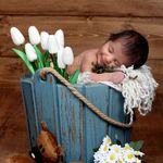 دید نو فردیس