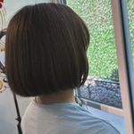 خدمات احیا و صافی و کوتاهی مو parihair