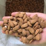 بادام عليزاده