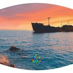 شرکت خدمات مسافرتی منشور صلح پارسیان