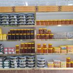لبنیات ،سرشیر،  پنیر
