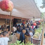 کافه سینما