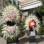 گل فروشی دنیز آنلاین (شعبه 2)