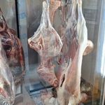 سوپر پروتئین داسدار