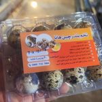 پرورش تخم بلدرچین