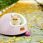 کلینیک دامپزشکی گرین پت در تبریز