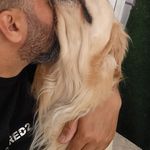 لاکچری پت هتل