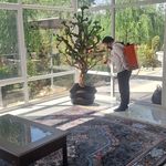شرکت سمپاشی شیمی گستر