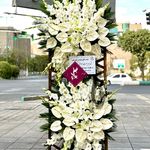 گلفروشی گل مریم شرق تهران