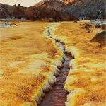 گشت زنی در جزیره زیبای هرمز با تک تک