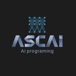 تیم برنامه نویسی صلاحی