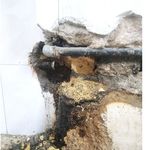 تشخیص ترکیدگی ولوله باز کنی تاج