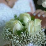 استودیو فیلم و عکس ژست