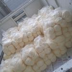 کره محلی گاوی رستمی