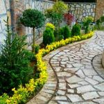 خدمات باغبانی هرس کاری گلکاری سمپاشی