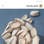 آجیل وخوار وبار بابک