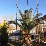 داربست فلزی رحمانی